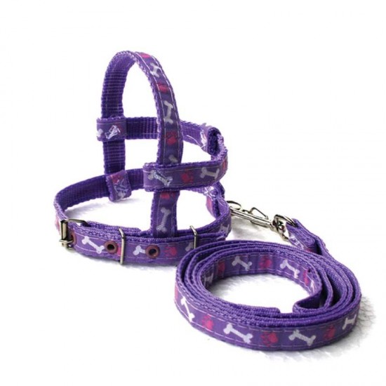 CONJ GUIA PEITORAL NACIONAL GALAO N  0