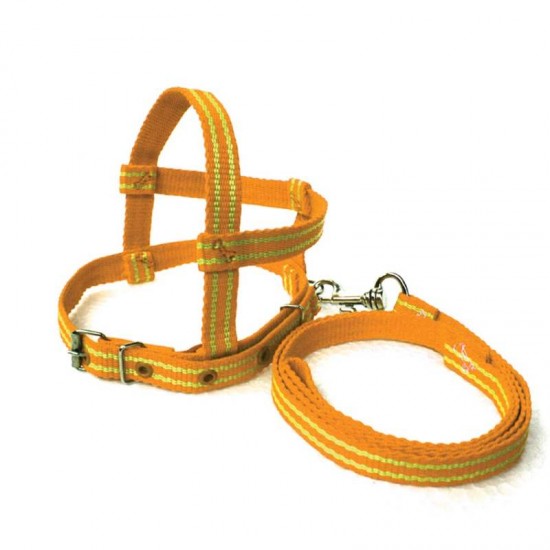 CONJ. GUIA PEITORAL NACIONAL SIMPLES N 2