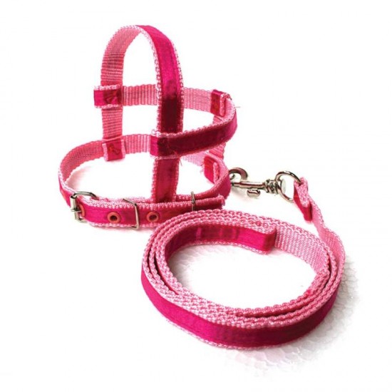 CONJ GUIA PEITORAL NACIONAL CETIM N  0