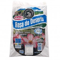 12590 - SUBSTRATO P/ ROSA DO DESERTO 1KG