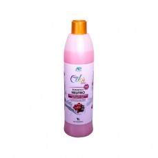 20999 - SHAMPOO DREAM COLOR FRAMBOESA C/CHANT 1L