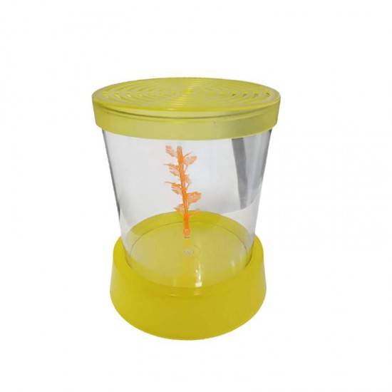 BETEIRA NANO AMARELO