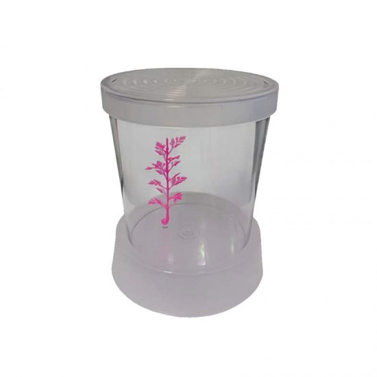 BETEIRA NANO TRANSPARENTE