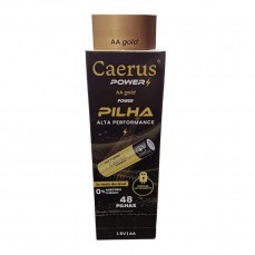 21809 - DISPLAY PILHA POWER AA GOLD C/12
