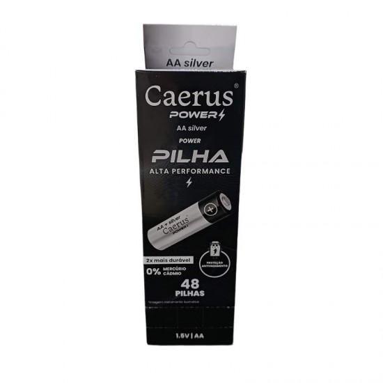 DISPLAY PILHA POWER AA SILVER C/12