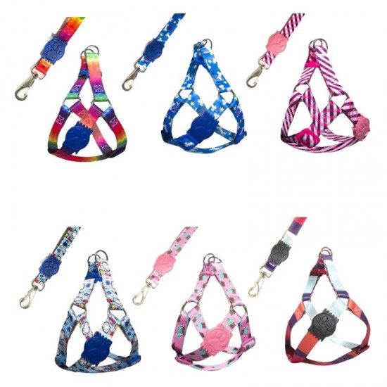 CONJ GUIA PEITORAL PREMIUM SEDA G