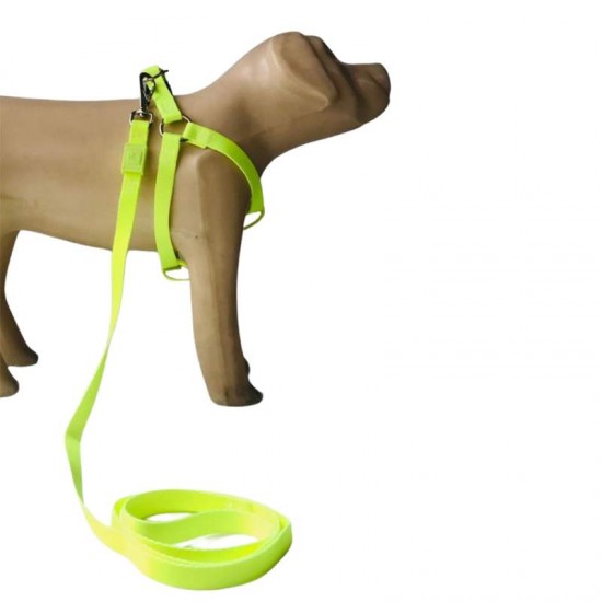 CONJ GUIA PEITORAL NEON P FLOURESCENTE