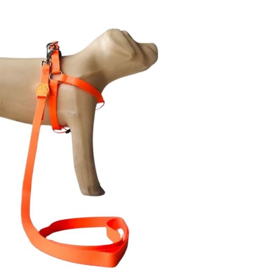 CONJ GUIA PEITORAL NEON P LARANJA