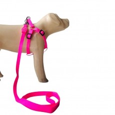 22278 - CONJ GUIA PEITORAL NEON P ROSA