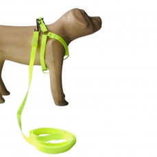 22277 - CONJ GUIA PEITORAL NEON PP FLOURESCENTE