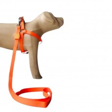 22276 - CONJ GUIA PEITORAL NEON PP LARANJA