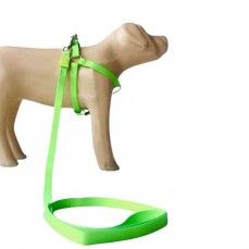 22145 - CONJ GUIA PEITORAL NEON PP VERDE