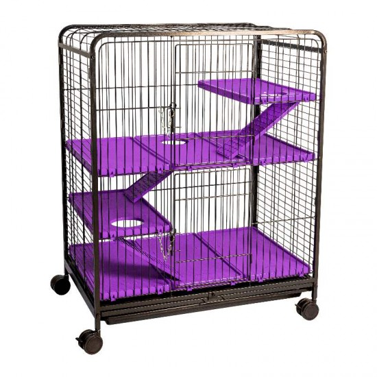 Z FAUNA PET ROE MEDIO BLACK/LILAS