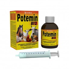 20044 - SUPL VIT POTEMIN B12 120ML