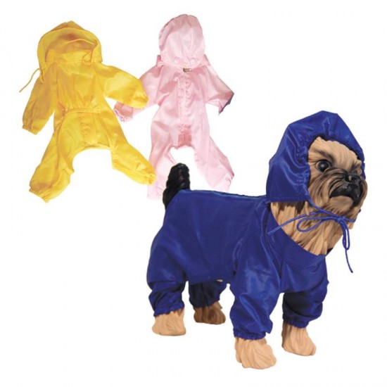 CAPA (528) DE CHUVA N  09