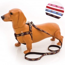 973 - CONJ. GUIA PEITORAL REG. CACHORRINH0 N 2