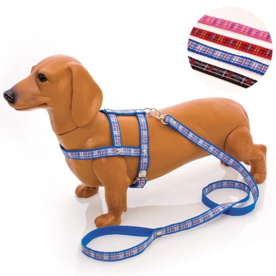 CONJ GUIA PEITORAL XADREZ N  04