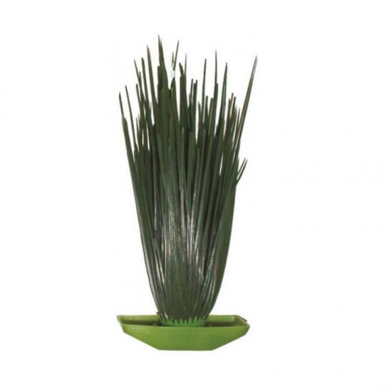 PLANTA PLASTICA ACORUS SIMPLES (6407)
